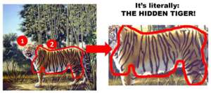 Testul ăsta îţi pune capac! Sunt doi tigri în această poză! Îl poţi găsi pe cel de-al doilea care e ascuns?