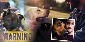 Stăpânii câinilor de rasă, în pericol / Mărturia șocantă a unei victime