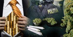 România, transformată în plantație de cannabis sub nasul DIICOT / Afaceristul care face milioane, iertat de procurorii antidrog