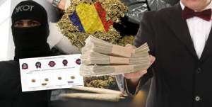 Afaceriștii care livrează semințe de cannabis în România, salvați de DIICOT / „Fapta nu există!”