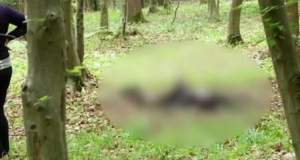 Moarte misterioasă în Botoșani. Un funcţionar public, tată a doi copii, a fost găsit carbonizat într-o pădure / FOTO