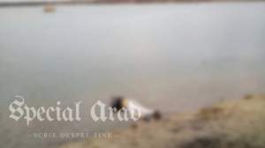 A fost găsit trupul bărbatului din Arad care s-a sinucis după o ceartă cu soţia! Adrian a plonjat cu maşina într-un lac