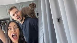 Mira și iubitul ei, șocați după ce au găsit un păianjen periculos la ei în casă. Fanii credeau că este decor de Halloween: ''Vai de capul meu!”