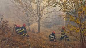 Incendiu în pădurea din Plauru, locul unde au căzut mai multe drone rusești! Pompierii au intervenit de urgență / FOTO