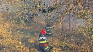 Incendiu în pădurea din Plauru, locul unde au căzut mai multe drone rusești! Pompierii au intervenit de urgență / FOTO