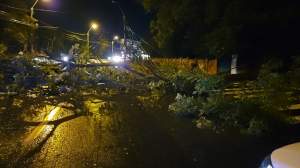 Imagini de coșmar în Galați și Cluj-Napoca! Furtuna REA a inundat orașele și a făcut haos pe străzi. Mai mulți copaci au căzut peste mașini / FOTO