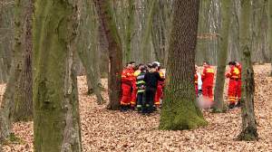 Tragedie în Târgu Mureș. Un bărbat a murit subit, într-o pădure. A fost găsit fără suflare în mașină / FOTO