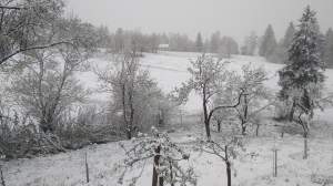 Locul din România unde iarna și-a intrat în drepturi în luna aprilie. S-a depus un strat de zăpadă consistent / FOTO