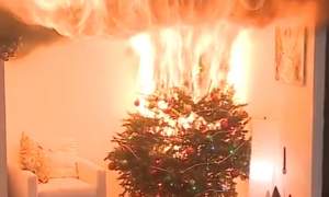 VIDEO / Dezastru în apropierea Crăciunului! A lăsat luminile din bradul de Crăciun pornite, iar ce a urmat e înfiorător
