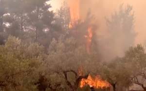 Autoritățile române oferă o mână de ajutor Greciei! Peste 100 de pompieri au fost trimiși să se lupte cu incendiile devastatoare