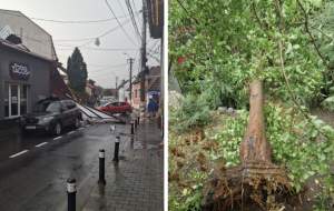 Vremea rea a făcut prăpăd în mai multe zone ale României. Capitala, blocată din cauza inundaţiilor și a copacilor căzuți / FOTO