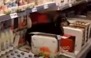 FOTO / Surpriză şocantă! Ce au găsit clienţii pe rafturile unui supermarket i-a şocat