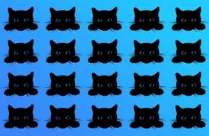 Test de inteligență! Identifică pisica neagră diferită din imagine! Ai la dispoziție 15 secunde / FOTO