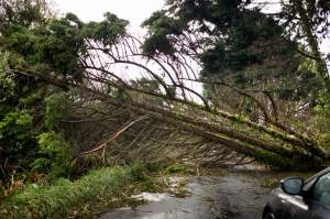Furtuna Ciaran a făcut prăpăd în Europa! Vântul a bătut cu 200 km/h, iar oamenii nu au putut să iasă din  casă / FOTO