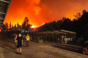 Știrile Antena Stars. Incendii de vegetație în Turcia. Românii, evacuați din camerele de hotel: „Am stat pe plajă câteva ore” / VIDEO