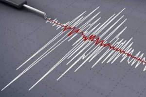 Cutremur în România, în această dimineață. Seismul s-a înregistrat în zona Vrancea