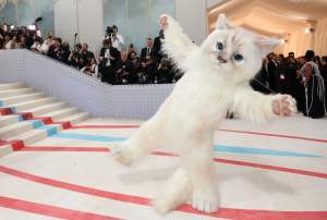 De ce Jared Leto s-a îmbrăcat în pisică la Met Gala. Ce alte ținute extravagante au ales vedetele / FOTO