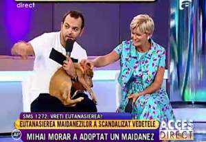 Mihai Morar a adoptat un maidanez! Karma întră în casa prezentatorului TV!
