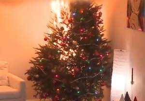 VIDEO / Dezastru în apropierea Crăciunului! A lăsat luminile din bradul de Crăciun pornite, iar ce a urmat e înfiorător