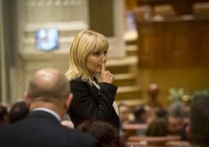 Elena Udrea, executată silit de FISC! Mai multe bunuri ale fostului ministru al Turismului au fost scoase la licitație  