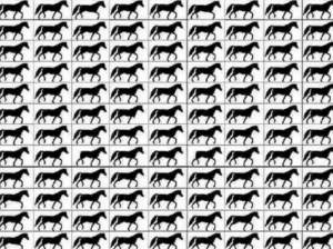 Test iluzie optică! Găsește caii cu trei picioare ascunși în imagine în doar 15 secunde / FOTO