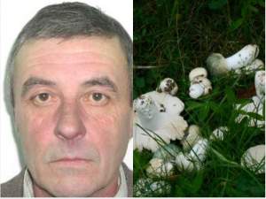 Un bărbat din Gura Humorului a fost găsit mort, după ce a plecat să culeagă ciuperci din pădure. Care a fost cauza decesului
