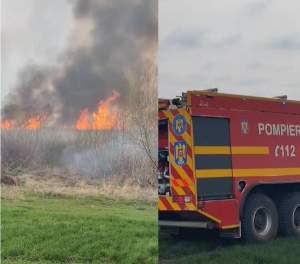 Incendiu puternic în Delta Neajlovului! Pompierii se luptă de ore bune cu flăcările / FOTO