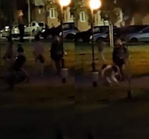 Scene șocante într-un parc din Arad!  O femeie care se crede pisică provoacă animalele care ies la plimbare cu stăpânii: "Umbla în patru labe..." / VIDEO