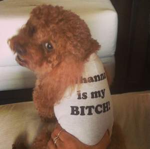 Rihanna îşi copiază câinele! Uite ce coafură şi-a tras vedeta! / FOTO