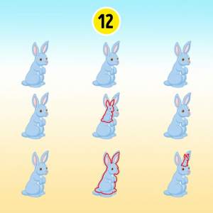 Testul de atenție pe care mulți români îl greșesc. Câți iepuri sunt în imagine? / FOTO