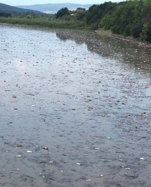 Imagini deplorabile pe râul Buzău!  Mii de gunoaie plutesc pe apă