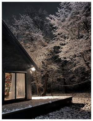 Sânziana Negru, imagini de poveste de la prima ninsoare, la noua casă. Ce a postat influencerița alături de iubitul ei, Ștefan Floroaica / FOTO