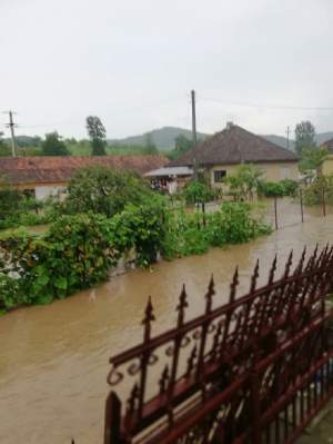 FOTO / Ploile torențiale au făcut ravagii în toată țara! Inundațiile au spulberat agoniseala de-o viață a oamenilor