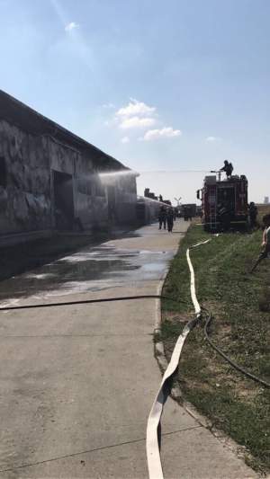 FOTO & VIDEO / Incendiu uriaş lângă Timişoara! Dezastrul se vede de la kilometri distanţă