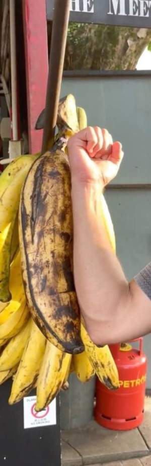 Cum arată cea mai mare banană din lume și unde a fost găsită. Doi tineri au mâncat din ea două zile / FOTO