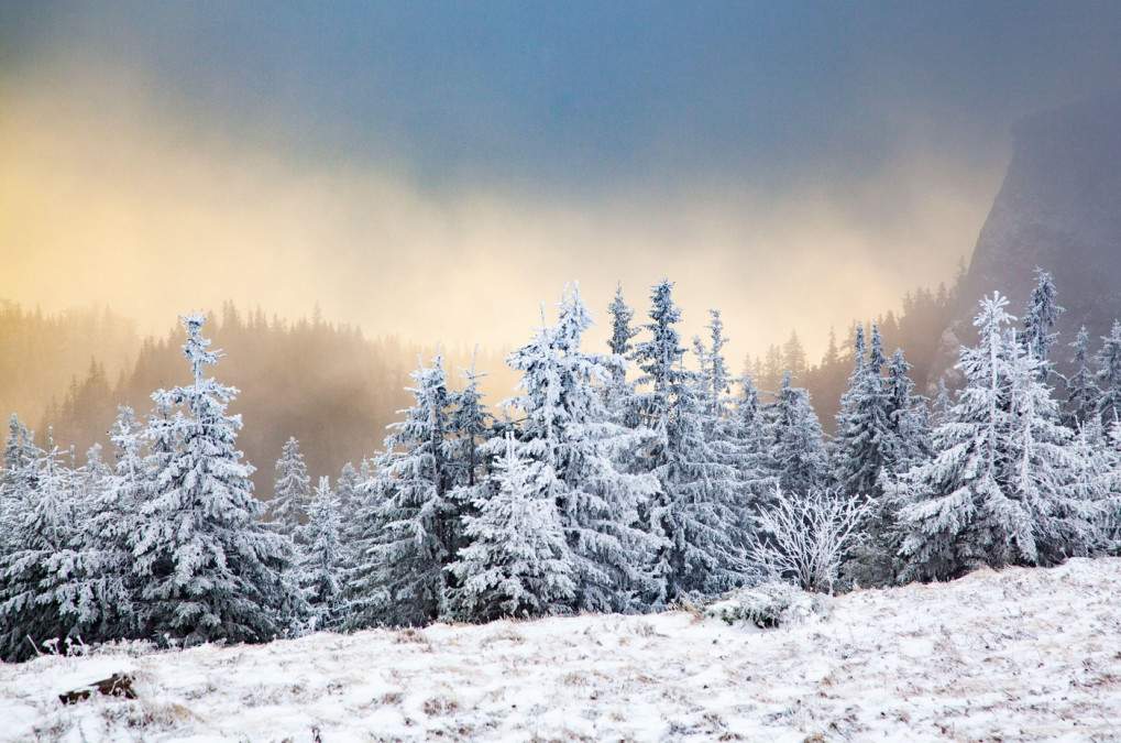 Prognoza meteo pentru decembrie s-a schimbat: iarna își intră în drepturi, cu surprize termice