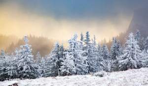 Prognoza meteo pentru decembrie s-a schimbat: iarna își intră în drepturi, cu surprize termice