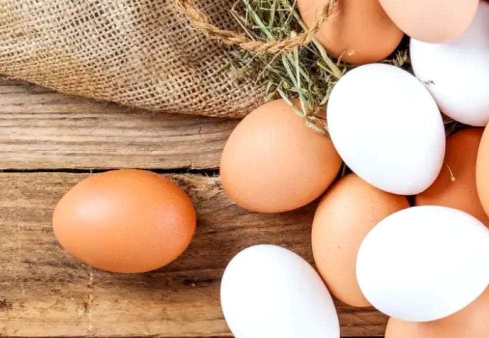 Diferenţa dintre ouăle albe şi maro. Care ar avea mai mulţi nutrienţi