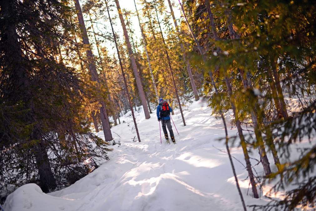 Data la care vin ninsorile abundente în România! ANM a făcut anunţul oficial, ce se întâmplă cu pârtiile de schi
