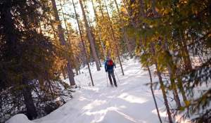 Data la care vin ninsorile abundente în România! ANM a făcut anunţul oficial, ce se întâmplă cu pârtiile de schi
