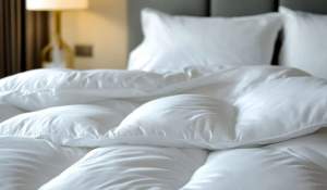 Cum speli o pilotă din puf acasă fără să o strici. Metoda folosită de hoteluri