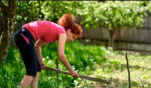 Cum ai putea lua pensie dacă faci muncă în gospodărie. Tipurile de activități pentru care primești bani