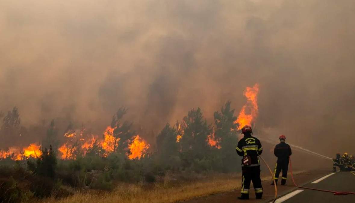 Ce trebuie să faci dacă te prinde un incendiu de vegetație &icirc;n vacanță. Greșeala pe care mulți turiști o fac