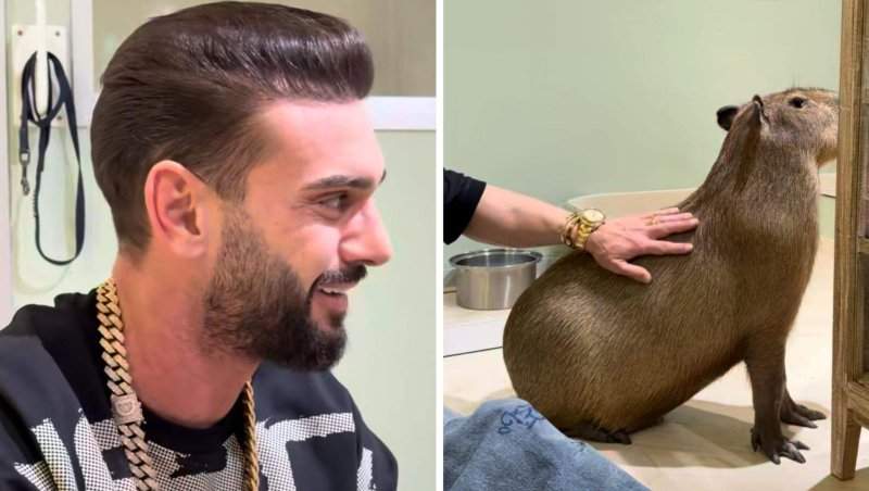 Dorian Popa s-a filmat în timp ce mângâia cel mai viral animal, în Japonia! Cum arată Capibara în realitate