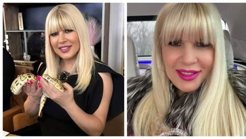 Elena Udrea, mesaj controversat: „La câți șerpi am ținut la sân...”. Cum au reacționat urmăritorii ei