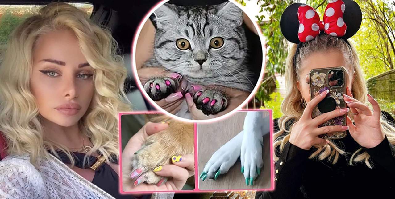 O cântăreață de la noi șochează cu afacerea ei! Ultima fiță, o controversă: unghii false pentru animale! "Eu fac laba colorată la pisici sau căței"
