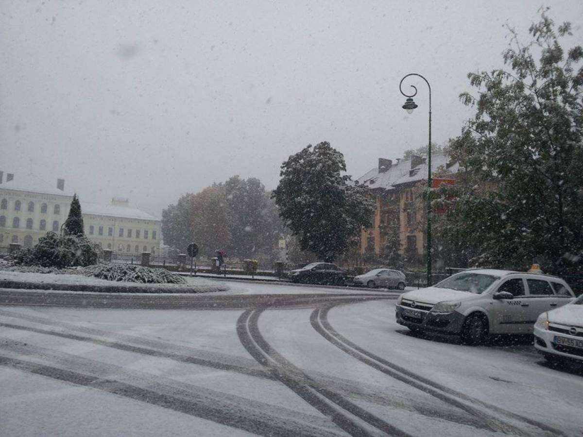 COD GALBEN DE NINSOARE în România! 9 judeţe sunt grav afectate! / FOTO & VIDEO