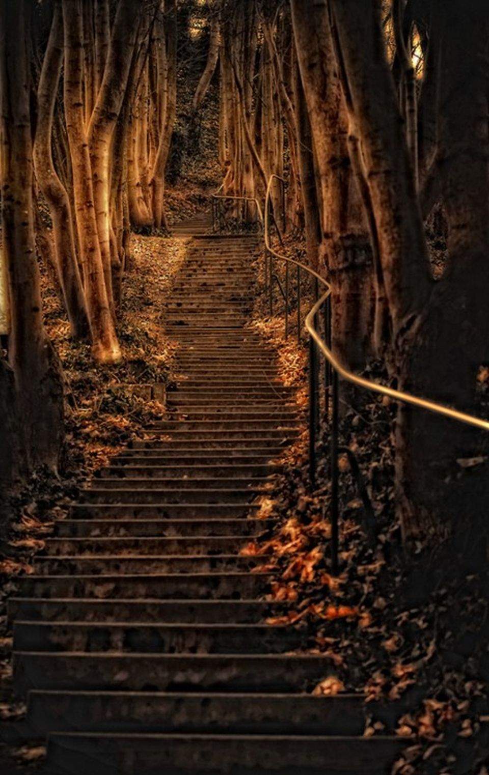 Cele mai fascinante scări din LUME!!! Aceste imagini îţi vor tăia respiraţia / GALERIE FOTO INCENDIARĂ