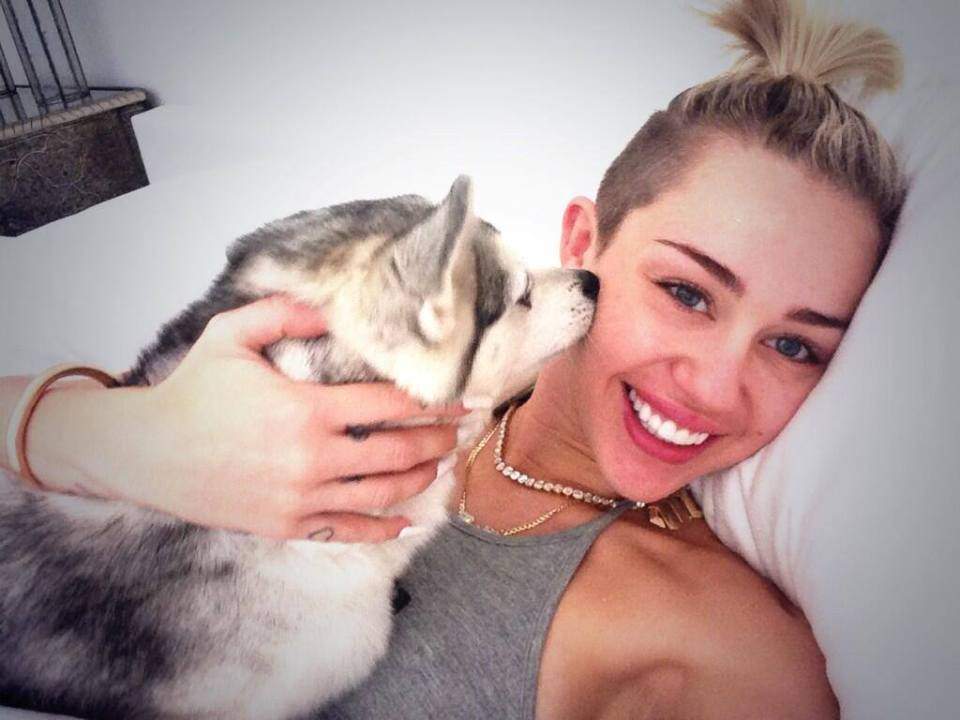 Uite cine o pupă cu patos pe Miley Cyrus