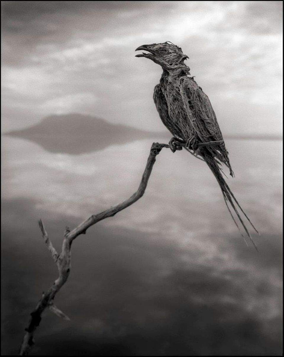 Lacul groazei! Orice vietate intră în el, se transformă în stană de piatră/ Galerie foto
